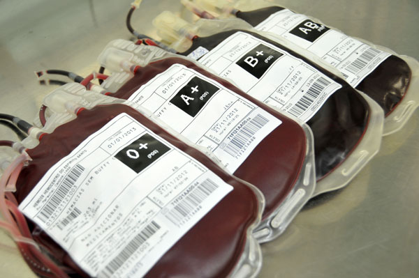 bolsadesangue