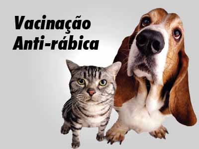 campanharabica2015
