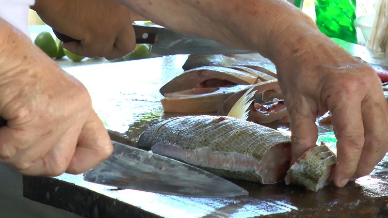 PEIXE02m