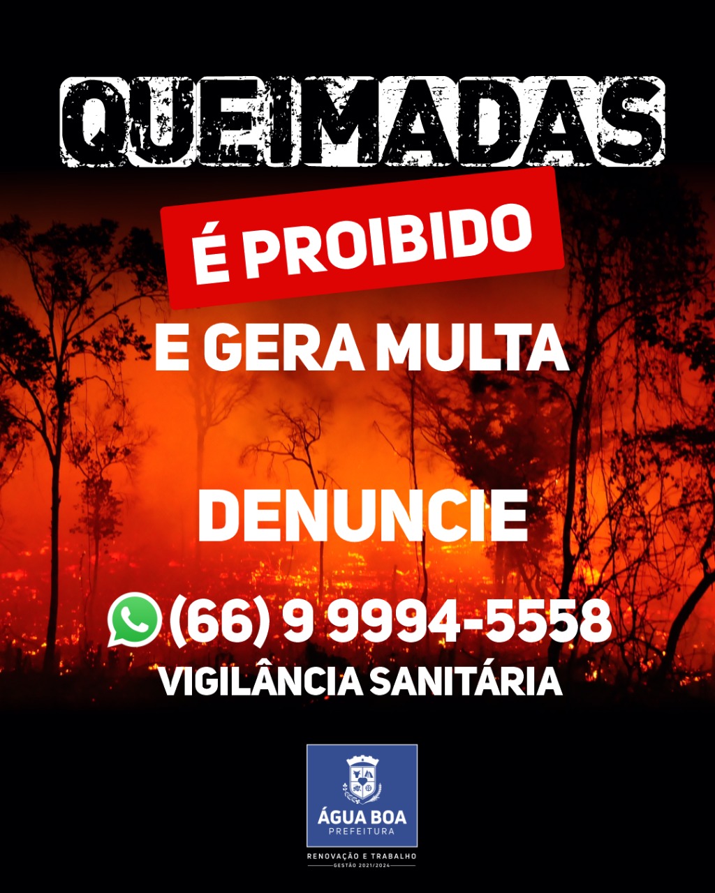 queimadas