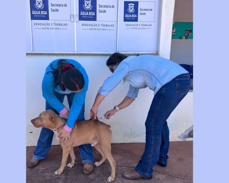 Campanha de vacinação antirrábica imuniza mais de 3,8 mil cães e gatos no interior de Água Boa