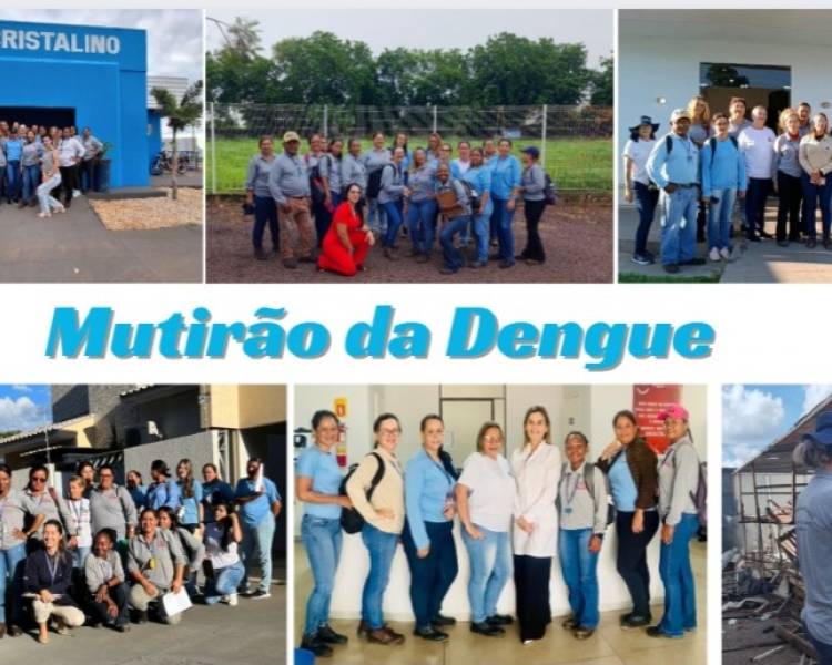 Equipes da Saúde municipal estão realizando vistorias domiciliares no Mutirão da Dengue
