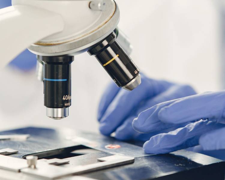 Atendimentos no Laboratório Municipal aumentam e faltas preocupam em 2025