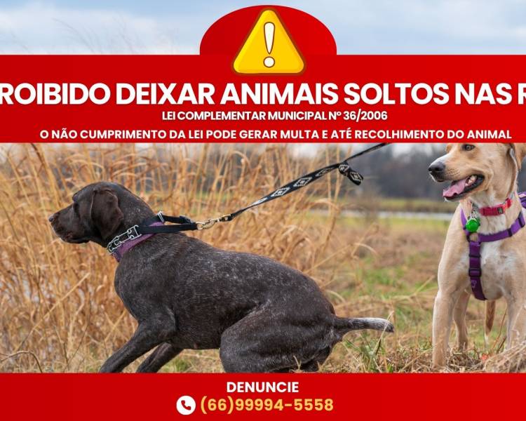 Prefeitura de Água Boa reforça campanha contra animais soltos nas ruas