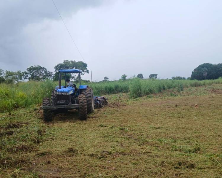 Prefeitura realiza serviços de roçada e gradagem em aldeias indígenas de Água Boa