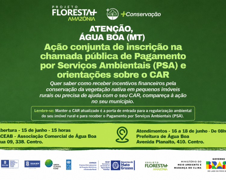 Projeto Floresta+ Amazônia abre oportunidade para agricultores familiares que preservam o meio ambiente