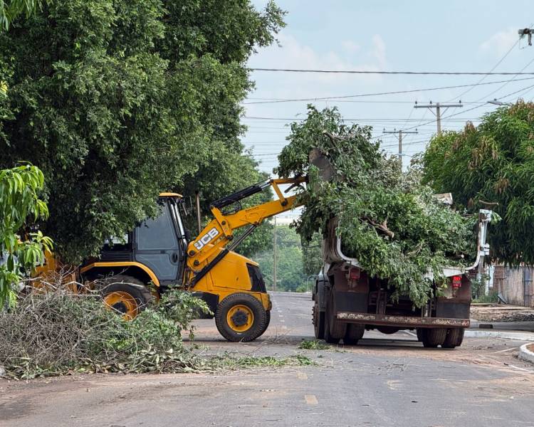 Prefeitura realiza limpeza e retirada de árvores após fortes ventos em Água Boa